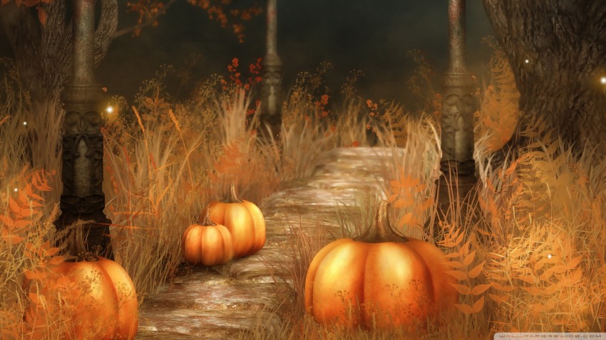 Halloween Computer Laptop  Wallpaper Full HD