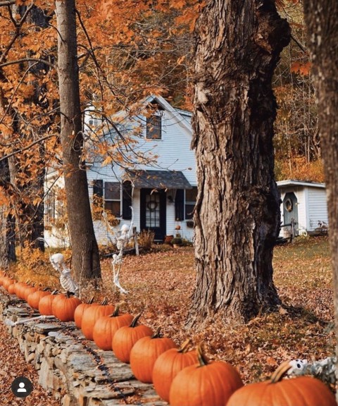 Halloween Garden HD Background Wallpaper