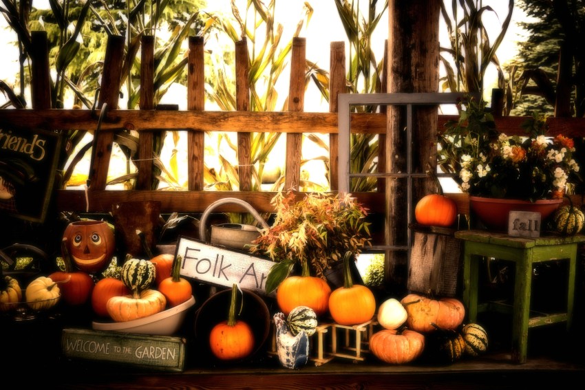 Halloween Garden HD Background Wallpaper