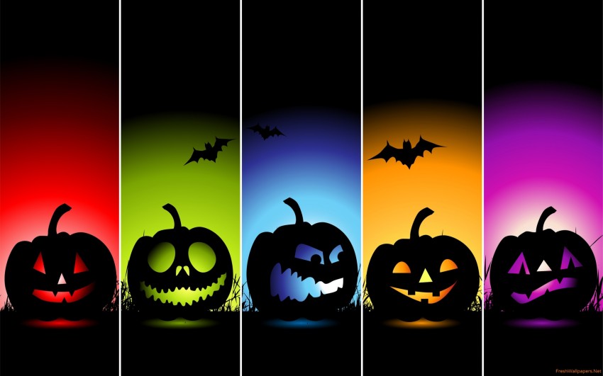 Halloween Pumpkin HD Wallpaper Background