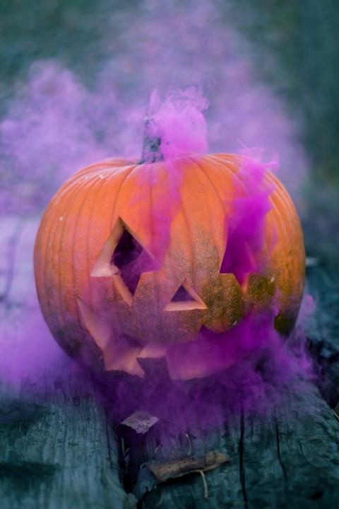 Halloween Pumpkin HD Wallpaper Background