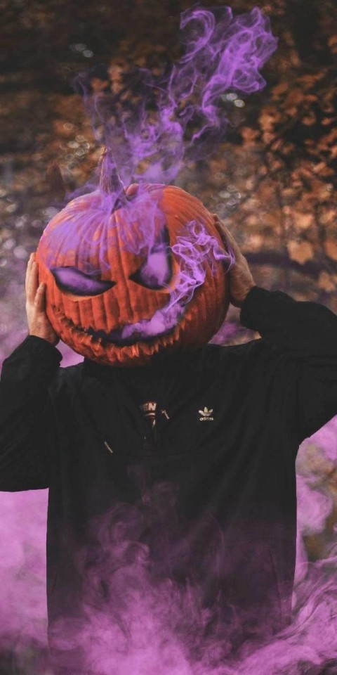 Halloween Pumpkin HD Wallpaper Background