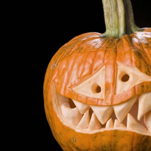 Halloween Pumpkin HD Wallpaper Background