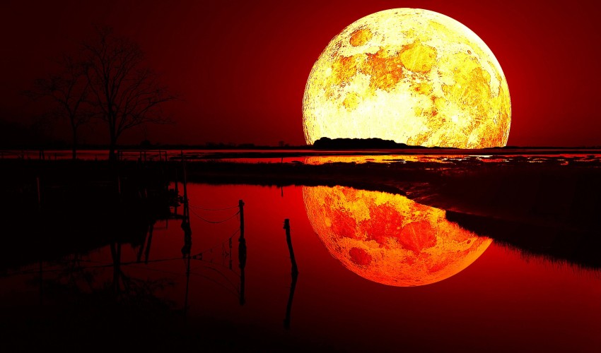 Halloween Red Wallpaper Background HD