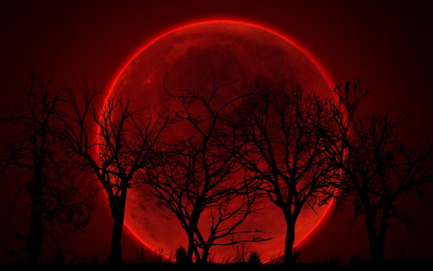 Halloween Red Wallpaper Background HD