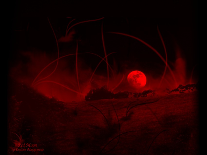 Halloween Red Wallpaper Background HD