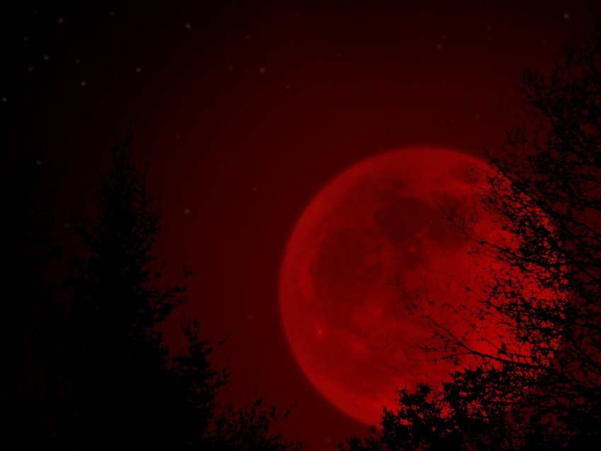 Halloween Red Wallpaper Background HD