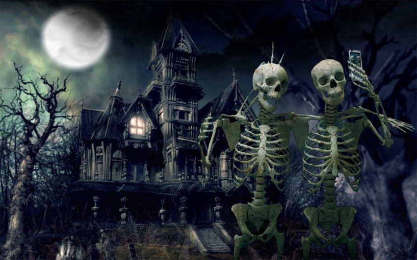 Halloween Skeleton HD Wallpaper Background Pic