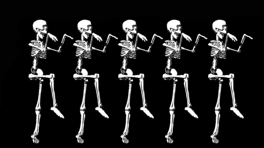 Halloween Skeleton HD Wallpaper Background Pic