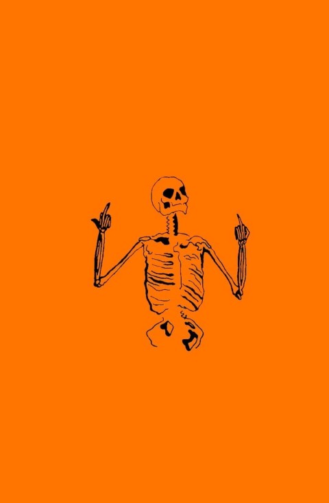 Halloween Skeleton HD Wallpaper Background Pic