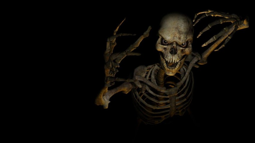 Halloween Skeleton HD Wallpaper Background Pic