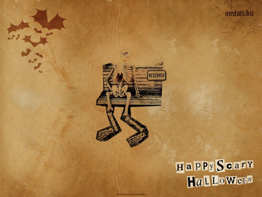 Halloween Skeleton HD Wallpaper Background Pic