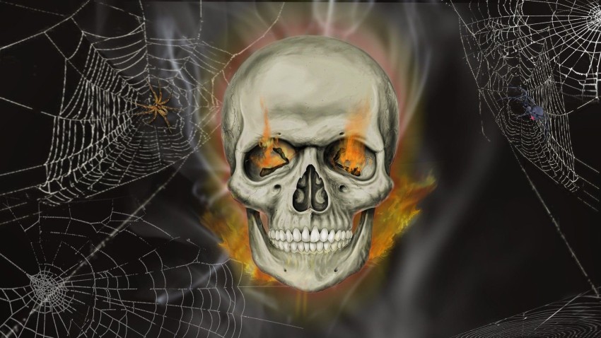 Halloween Skeleton HD Wallpaper Background Pic