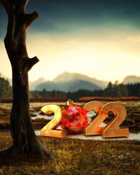 Happy New Year 2022 CB PicsArt Editing Background With Tree