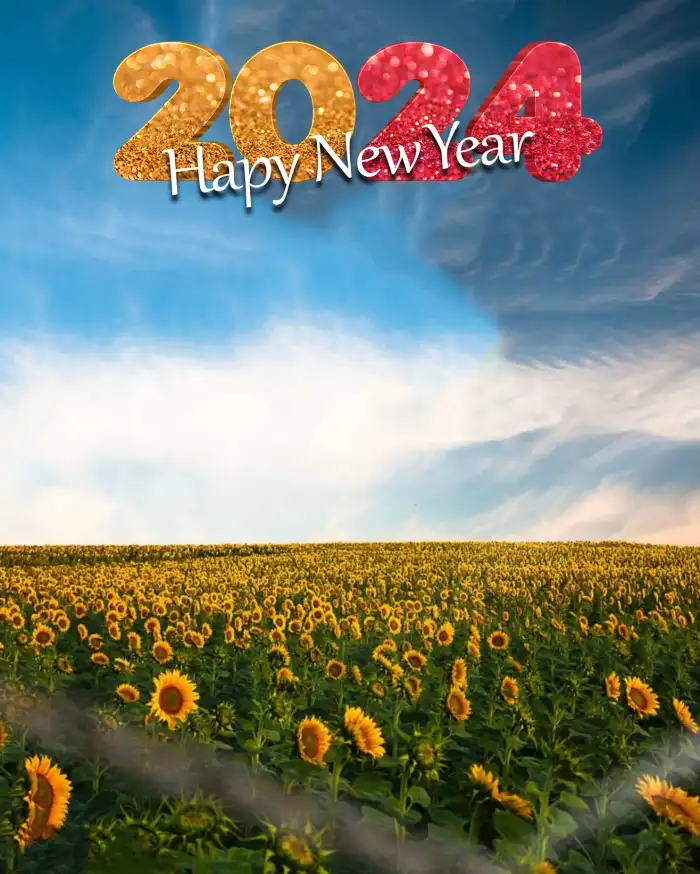 Happy New Year 2024 Field Of Sunflowers Editing Background