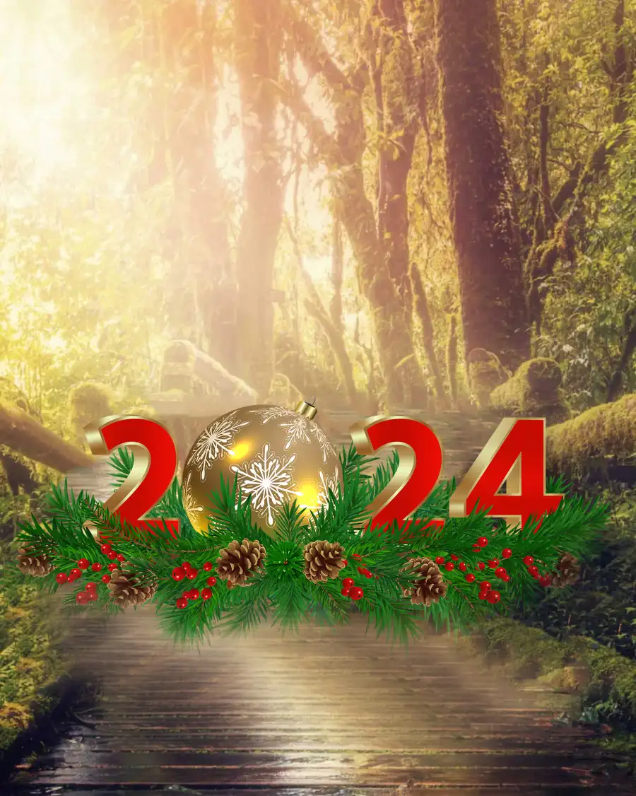 Happy New Year 2024 Forest Editing  Background