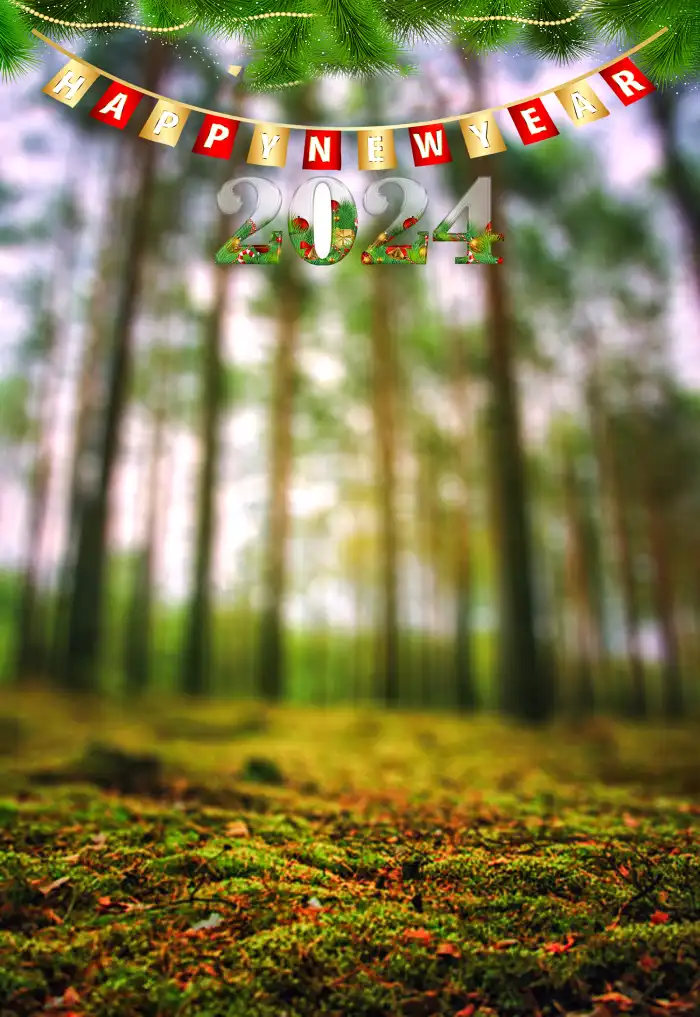 Happy New Year 2024 Forest With Trees Background For Editing