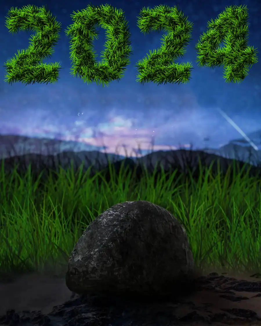 Happy New Year 2024 Rock In The Grass Lightroom Background