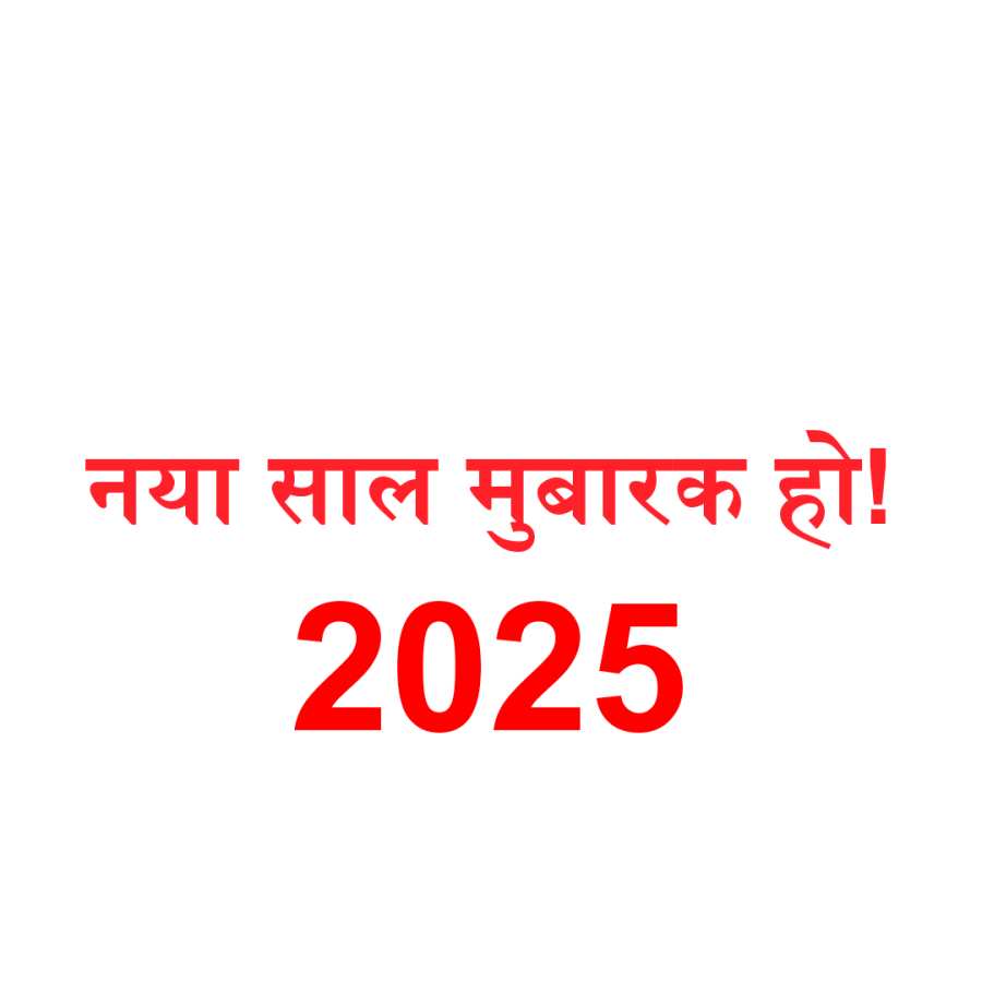 Happy New Year 2025 Hindi Text PNG