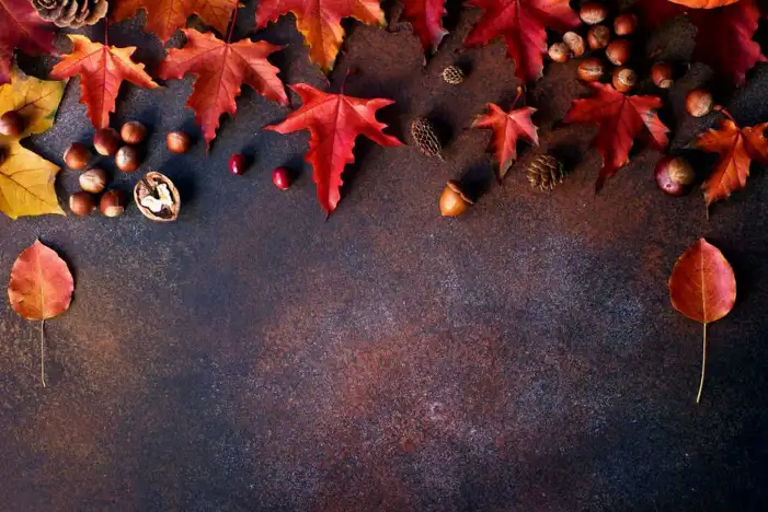 Happy Thanksgiving Background HD Images