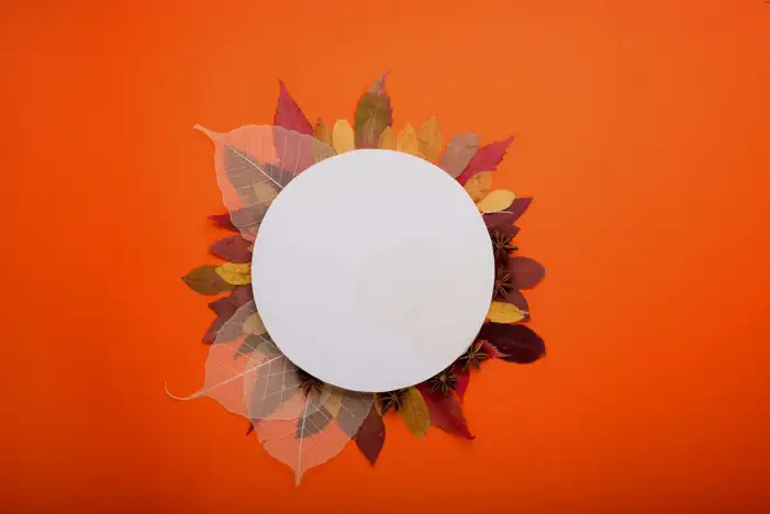 Happy Thanksgiving Background HD Images