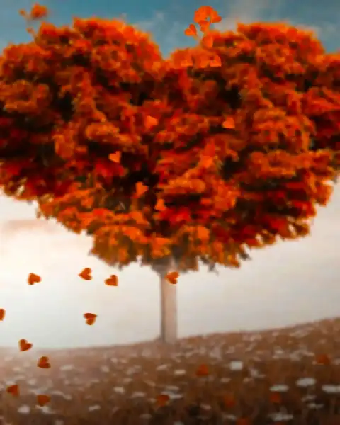 Heart Shape Tree Picsart Editing Background Full HD Download