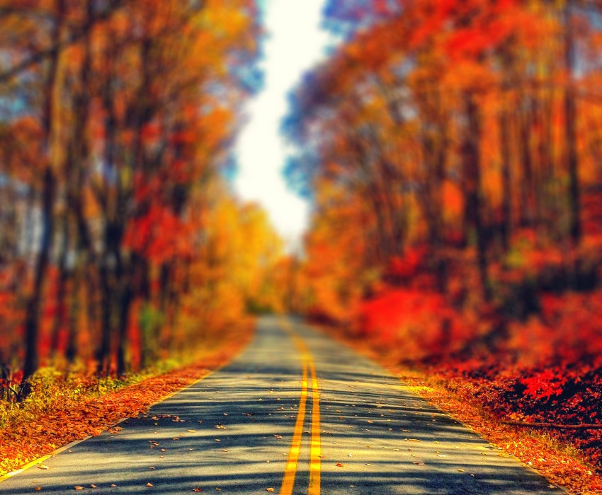 Highway Autumn Leaves Editing  CB Picsart Background HD