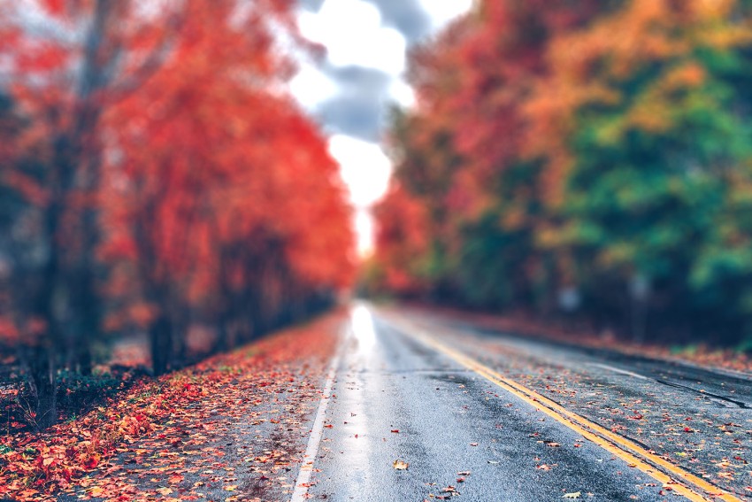 Highway Forest Tree CB Picsart Background Full HD Download