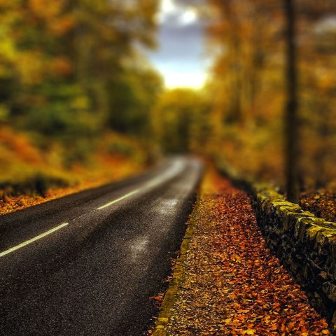 Highway Road Autumn Leaves CB Picsart Background HD