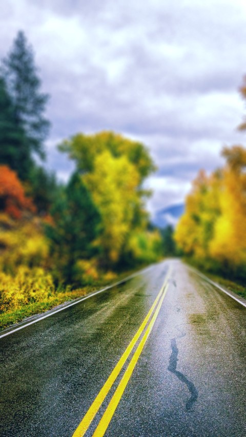 Highway Road Autumn Tree CB Picsart Background HD