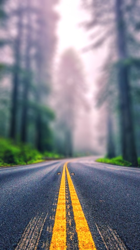 Highway Road Blur Long CB Picsart Background HD