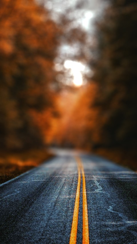 Highway Road CB Photo Editing Background HD