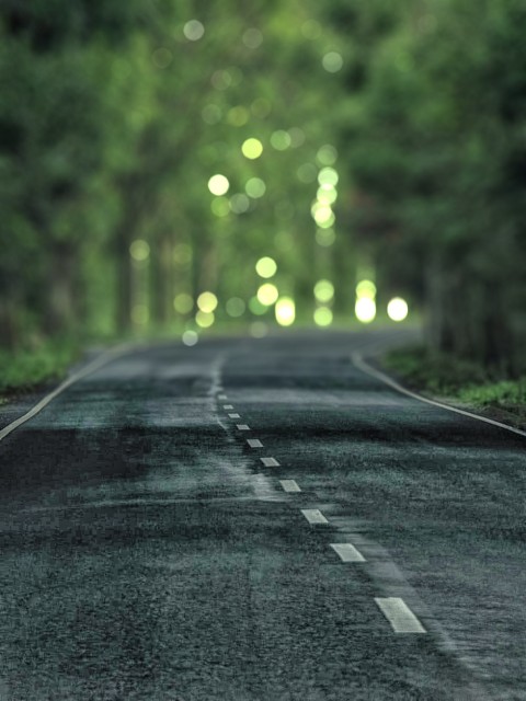 Highway Road Green Forest CB Picsart Background HD