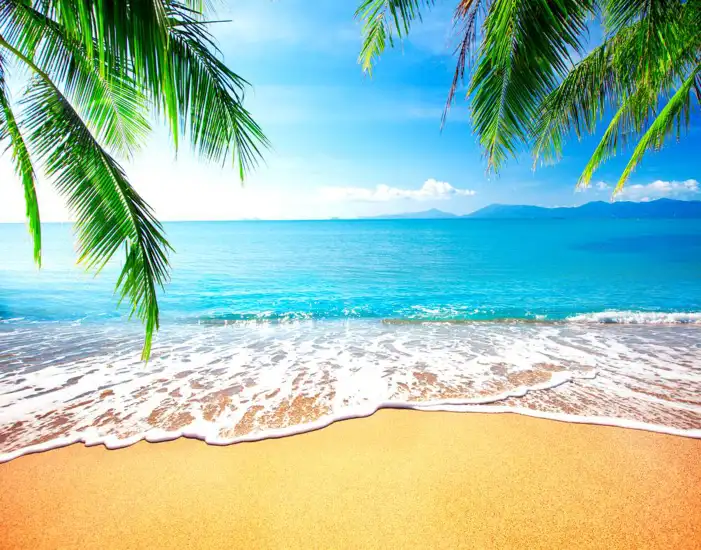 Holiday Beach Blue Sky Background HD Images Free Download