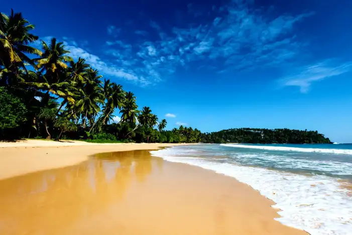 Holiday Beach Blue Sky Background HD Images Free Download