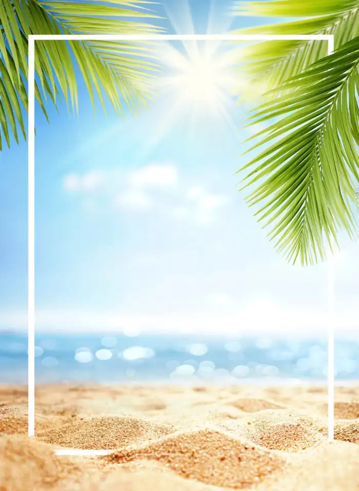 Holiday Beach Tree Background HD Images Free Download