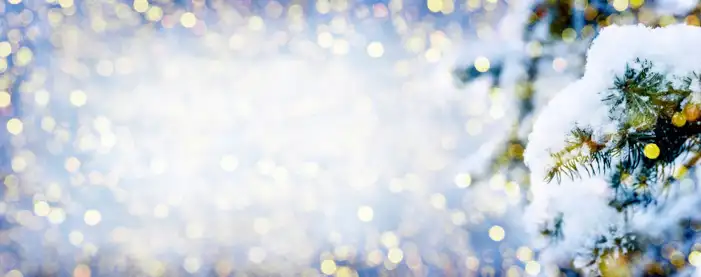 Holiday Bokeh Background HD Images Free Download