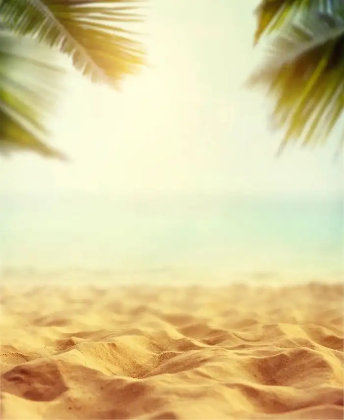 Holiday Coconut Background HD Images Free Download