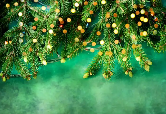 Holiday Green Christmas Tree Background HD Images Free Download