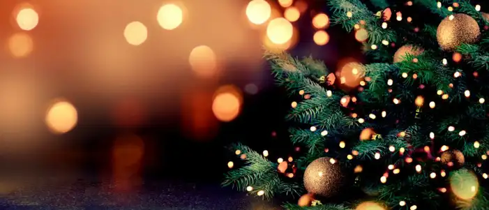 Holiday Green Christmas Tree Background HD Images Free Download