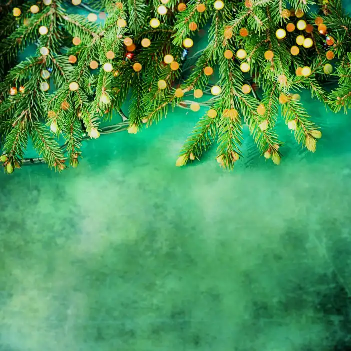 Holiday Green Christmas Tree Background HD Images Free Download