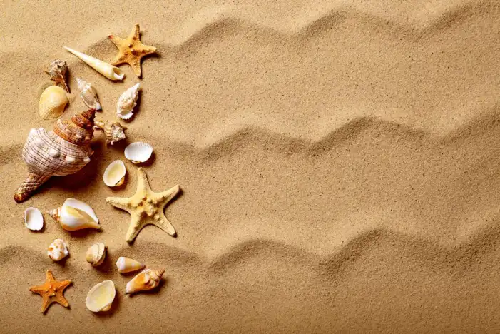 Holiday Sahara Background HD Images Free Download