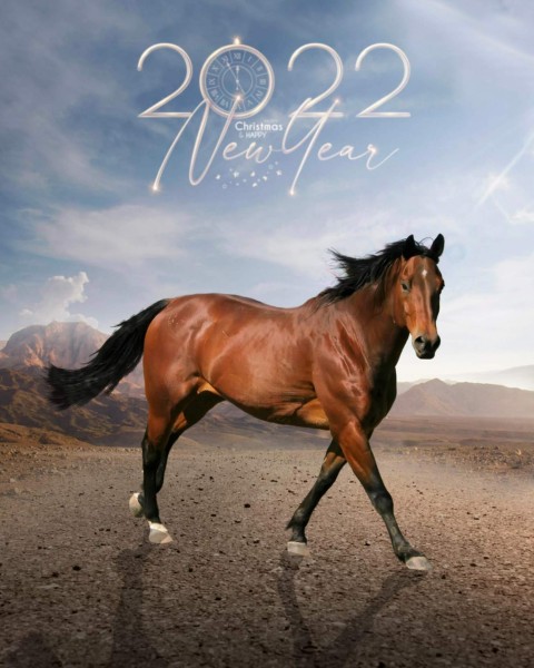 Horse Happy New Year 2022 CB PicsArt Editing Background