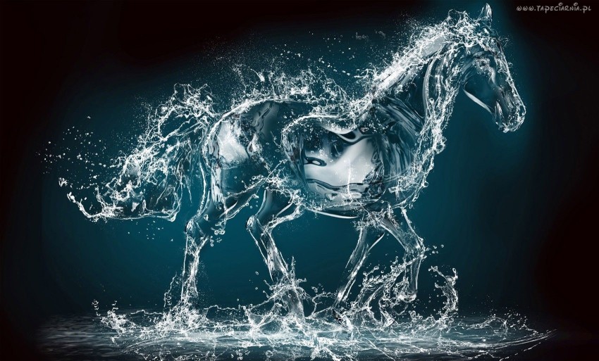 Horse Water Background Full HD Download Free