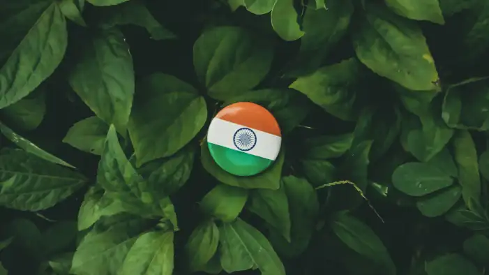 India Flag Background HD Images Wallpapers (