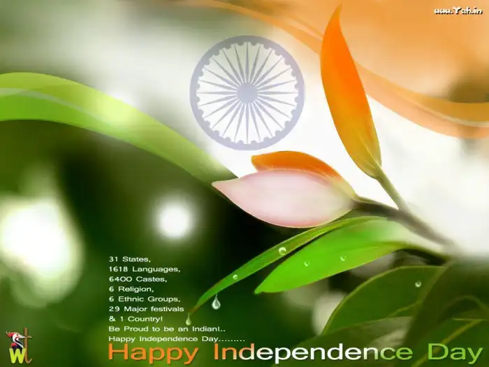 India Flag Background HD Images Wallpapers 