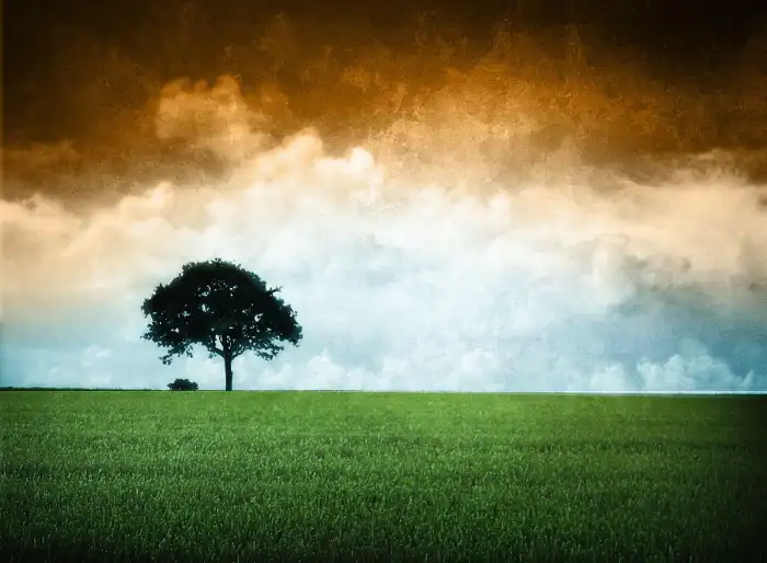 India Flag Color Nature Background HD Images Wallpapers (