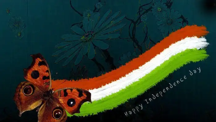 India Flag Tiranga Color Background HD Images Wallpapers 