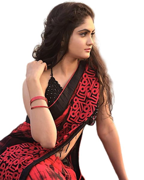 Indian Girl In Saree HD PNG Images Download