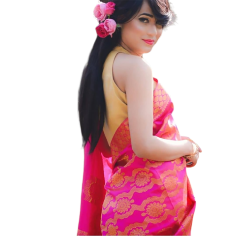 Indian Girl In Saree HD PNG Images Download